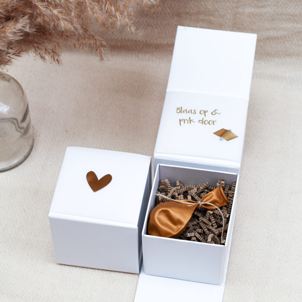 Onthullingsbox Ideefabriek verrassing in ballon cadeau gepersonaliseerd giftbox