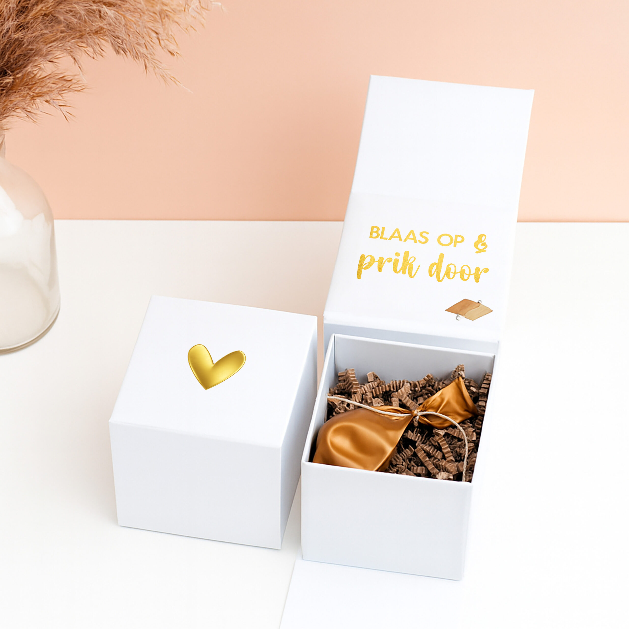 OB-1 Onthullingsbox zwangerschapsaankondiging zwanger ballon boodschap getuige ceremoniemeester vragen cadeaubon tegoedbon cadeau origineel