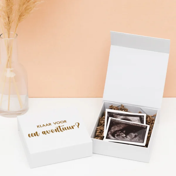 CB-18-Z Ideefabriek cadeaubox zwanger zwangerschapsaankondiging klaar voor avontuur familie vrienden papa ouders vertellen echo V2