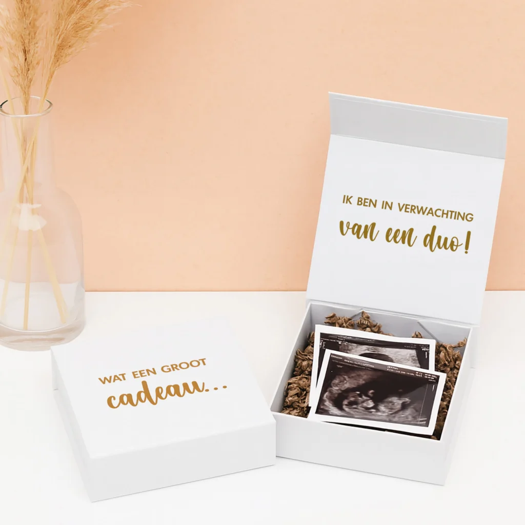 CB-23 Ideefabriek in verwachting van een duo zwanger zwangerschapsaankondiging tweeling V2