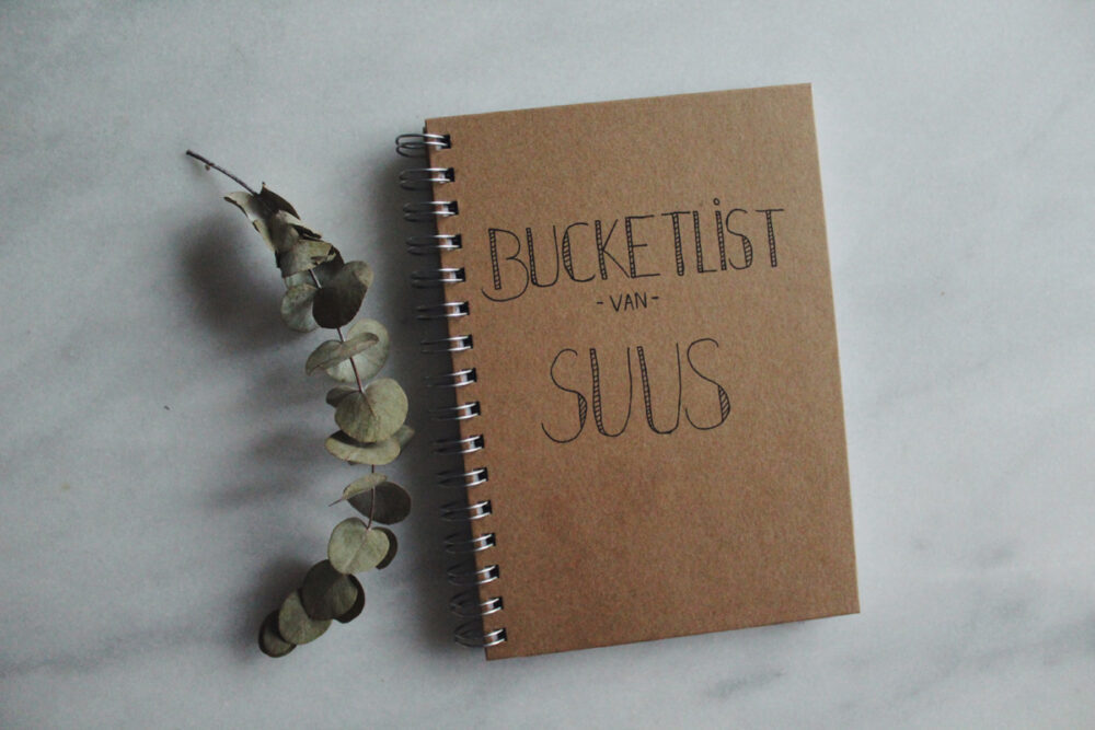 DIY bucketlist cadeau ideefabriek
