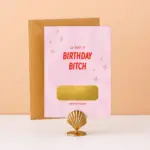 KR-31 Birthday bitch grappige kaart kraskaart cadeau cadeaubon tegoedbon zelf maken origineel ervaring cadeau