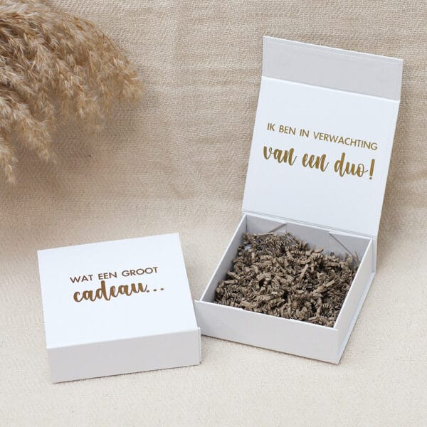 Cadeaubox S zwangerschapsaankondiging tweeling Ideefabriek echo zwangerschapstest romper giftbox